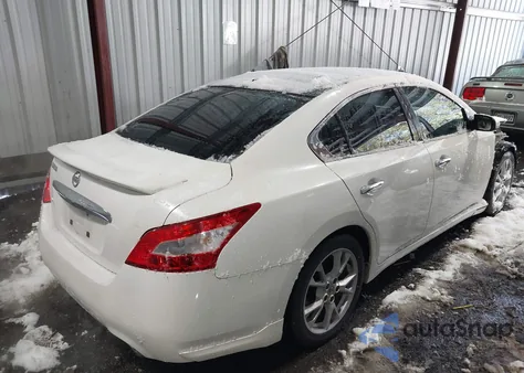 2011 Nissan Maxima 3.5 Sv z USA, uszkodzony, nr VIN 1N4AA5AP0BC846226